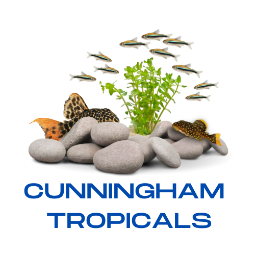 Home Cunningham Tropicals, LLC